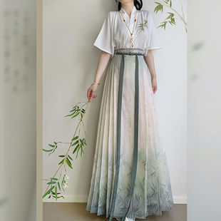 Spring Breeze Silent [Bamboo Style] Original Hanfu Women's Ming Dynasty Embroidery New Chinese Style National Style Mamian Skirt Daily Summer Thin Style