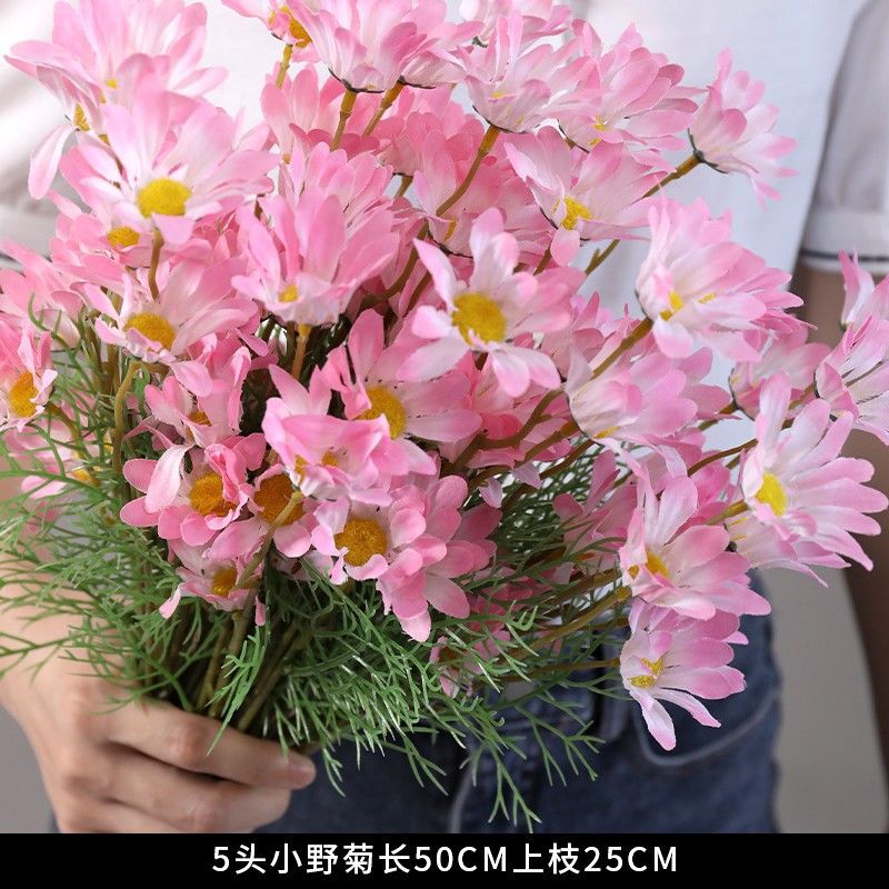 5 small wild chrysanthemum