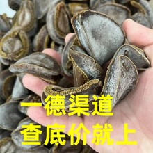��ζ��؛���l���a�U�~�Ϸ��U�~22-23�^�Ϸ��ϼ�Ʒ�U��ɴ���