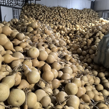 ��}̎����Ȼ�к��Jͨ؛���l΢��b�޵������J�W�����g�Ӯ��ֹ�