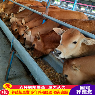 ������ţ�������Sţ����һ�^  �����Sţ���wţ�� ɽ�|�Bţ��