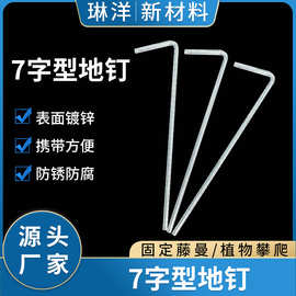 7字地钉草坪防风金属钉固定钉露营帐篷配件镀锌帐钉固定地桩7型钉