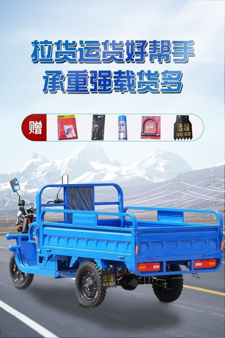 Electric Tricycle for Cargo, Delivery, Farm Use, Adult