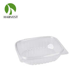 PET草莓塑料车厘子盒透明水果盒一次性水果葡萄盒打包盒 HC-24