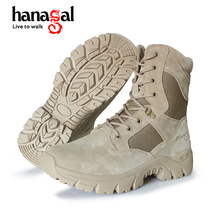 ڟuӆƿ50675 ëƤgѥzֹĥʿ܊ѥ