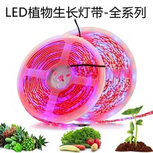 led灯带低压12V防水5050植物生长肉类软灯条补光灯花卉蔬菜灯光