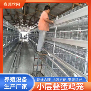 小层叠养殖鸡笼 养鸡场智能自动化蛋鸡笼全自动系统操控蛋鸡笼-阿里巴巴