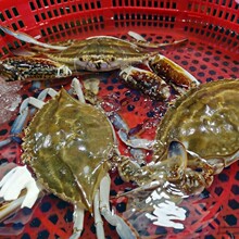 ����з�r��������з��ĸ����з��з�wз���r���l