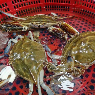 ����з�r��������з��ĸ����з��з�wз���r���l