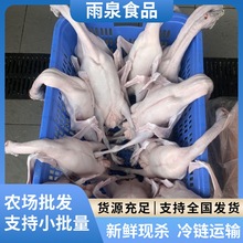 ���h�����Z���l���r�R�����Z�����Z�F�׬F�l�Bֳ�����Zֱ�N���D��