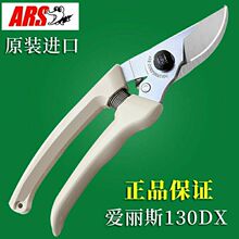 �ձ��M�ڐ���˹��֦��130DX����@�ּ���������ӈ@ˇ���ߴ�֦��