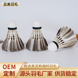 ���S12ֻ�ڻ������U��ëӖ��