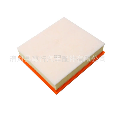 Suitable for Foton Tuano Air filter
