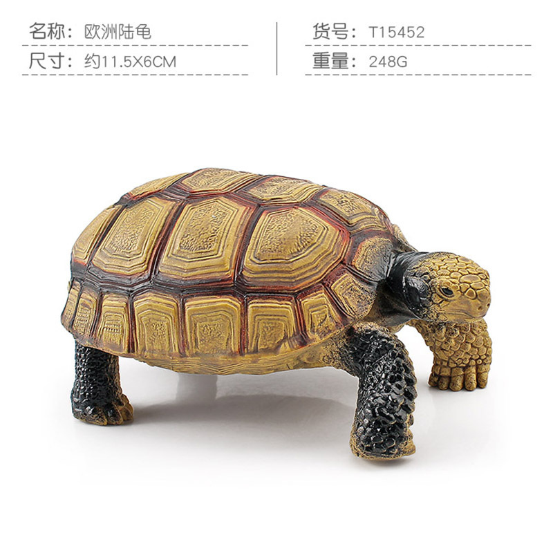 Transfronteriza Nueva simulación anfibio reptil modelo tierra tortuga elefante tortuga estrella tortuga estática decoración cognitiva decoración juguete