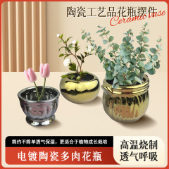 北欧創意メッキ陶磁器多肉花瓶家庭装飾緑植鉢植え球形花器ミニ植木鉢装飾