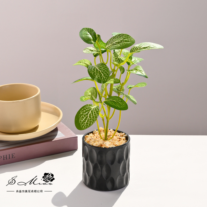 Simulación de plantas verdes, pequeñas plantas en macetas, flores artificiales, flores creativas, decoración de estudio fotográfico para el hogar, plantas verdes artificiales, bonsai de simulación image 5