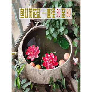 ʯ�^�~���k����С�~���̨������ˮͥԺ�쾰�Z��ʯ��ʽˮ��˯ɏ��