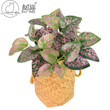 ���滨�~�f�����Ʒ�|��ֲ����c�~���҃Ȳ�ɫ�Gֲ�b�ֲ�����