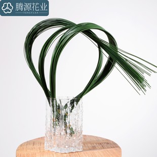 䓲ݾ��l���Ͳݻ�c��ˇ�OӋ���滨ֲ��廨��ľG�F����ˮ��DIY