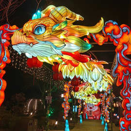 自贡彩灯2025年灯会定制莲花龙门通道荷花景区夜游元宵灯手工艺