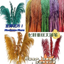 永生大芦苇 垂丝大蒲苇批发源头厂家 婚礼布景花艺软装 干花落地