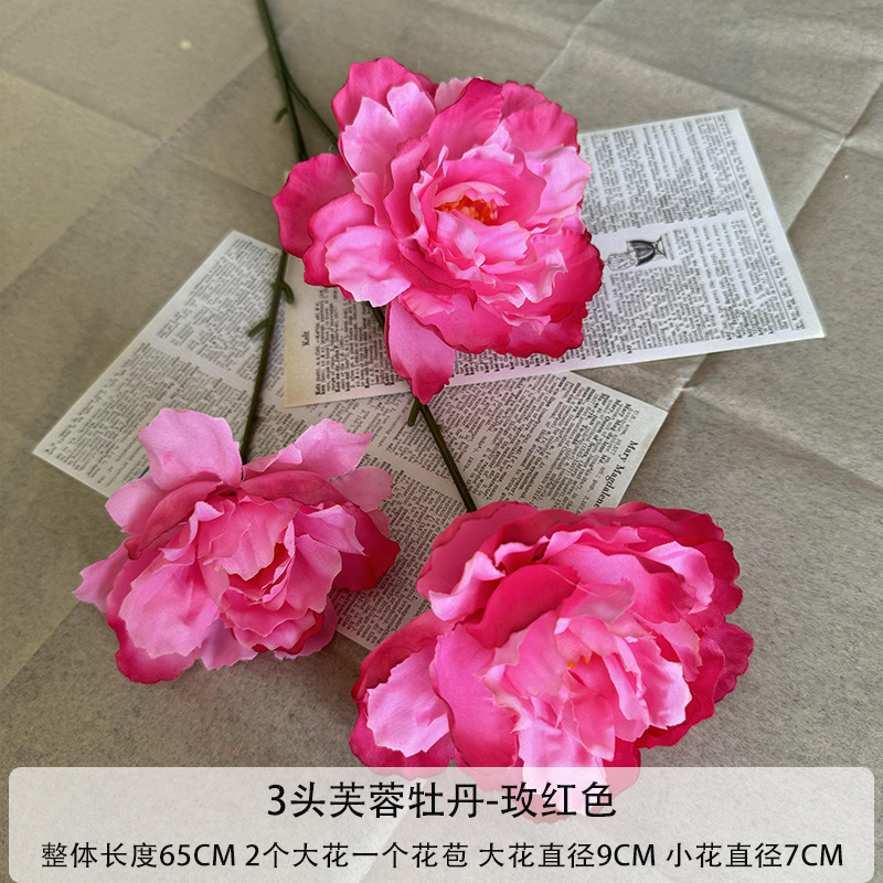 로즈 레드
