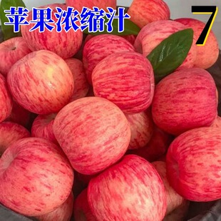 �O����s֭�O��֭ ��s�O��֭ �O���Lζ���� �S��δ���� �O��ζ��