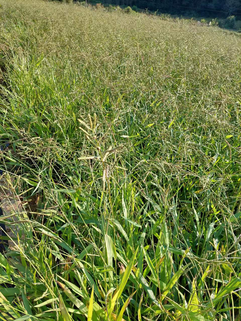 ad7d439eb83959ee012cf9104f13d1