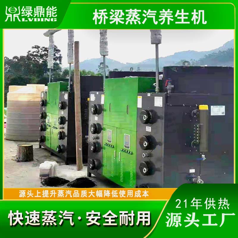 绿鼎能立式全自动生物质蒸汽发生器 预制梁场T梁箱梁蒸汽养生机