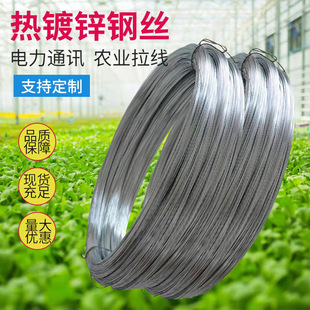 ����\䓽z12#��\�F�z�X��䓽z�r�I�Nֲ��������7x1.8mm䓽g��