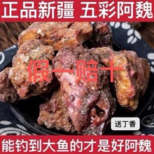 阿魏新疆五彩臭阿魏黑阿魏钓鱼泡酒料送丁香假一赔十真货好货