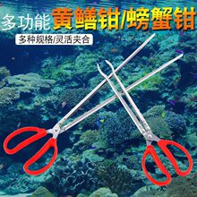 �S�X�A�����A�X�~�Qץ�~���q���r�S���з�A���Q�ӷ����s������
