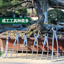 成工不锈钢球节剪盆景造型钳园艺修枝球形剪刀枝条修剪球节剪定制