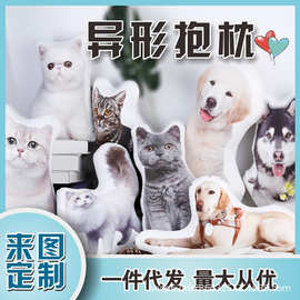 猫咪狗异形抱枕diy来制做3d宠物照片双面玩偶送朋友生日礼物