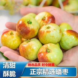 块茎类;其他蔬菜;瓜果类