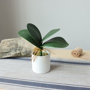 PU�����m�~�ָ��m���~�ӻ�c�Ҿ��b���پGֲ�����Բ廨���l