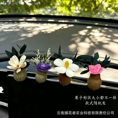 Car Perfume Aromatherapy, Air Freshener Vent Decoration High-End - four-random-combinations-gulu-fruit-car-style-free-essential-oil