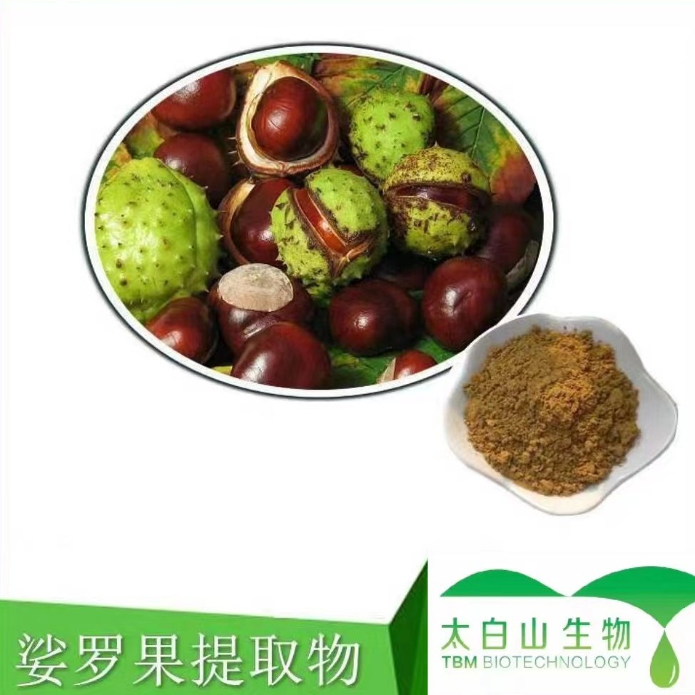 工厂现货直供 娑罗果提取物 喷雾干燥 /含七叶皂甙