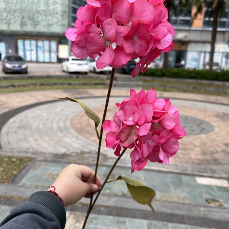 2-cabeza Xiyan Hortensia Rosa Rojo