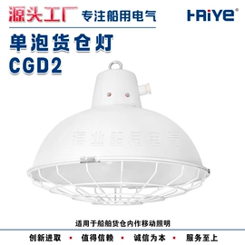 其他专用灯具;投光灯;泛光灯