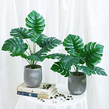 ���W�L����ֲ���辰���滨�Gֲ�[�������~�҃���������ٻ��b�Ʒ