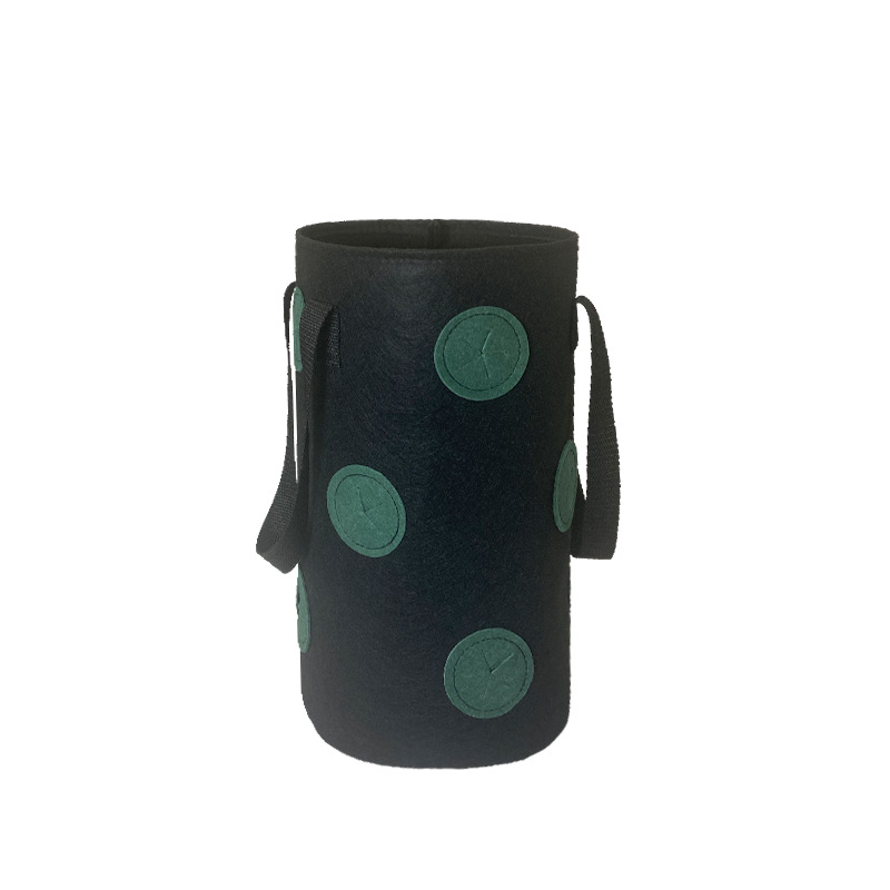 블랙 잉크 그린 도트