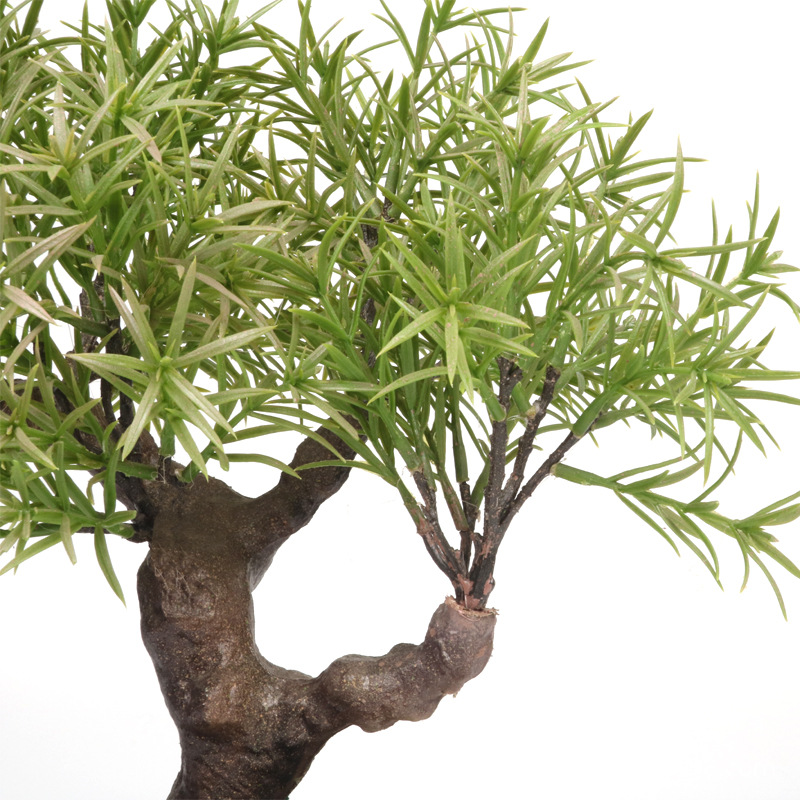 XRS-008 盆栽迷迭香叶0.45米3