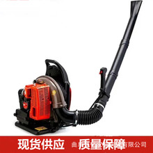 ���N��ʲ�������L�����C�҉mɰʯ�������L�C���_���½��󗗴��~