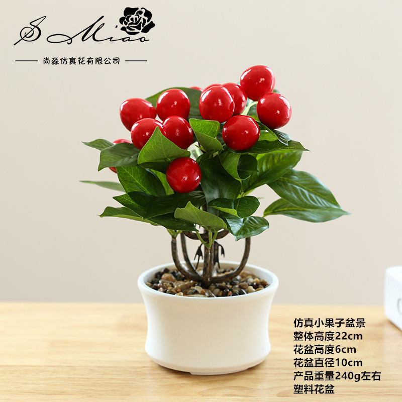 225381 Potas de fruta roja ☆