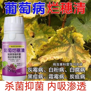 ���Ѳ����堀����˪ù���׸����ڶ����׷۲��~�߲�����ș�־�