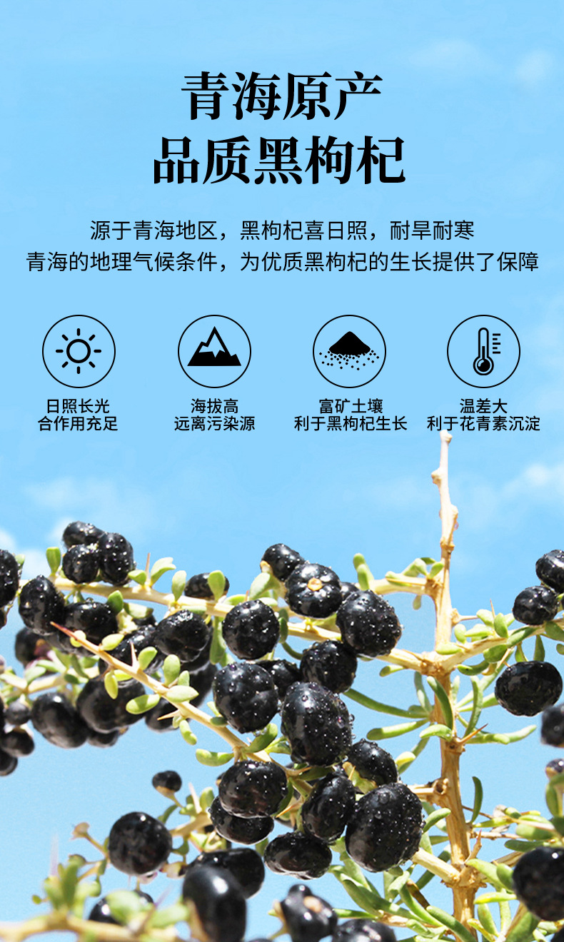 Dried Black Goji Berry Gift Box 50g x 5 Bottles Premium Qinghai Wolfberry for Tea Soup and Daily Nourishing Use key features