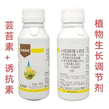 ̩Դ����0.25%24��̦ܿ������S�տ���ˮ�������������ڼ���Ʒũ��