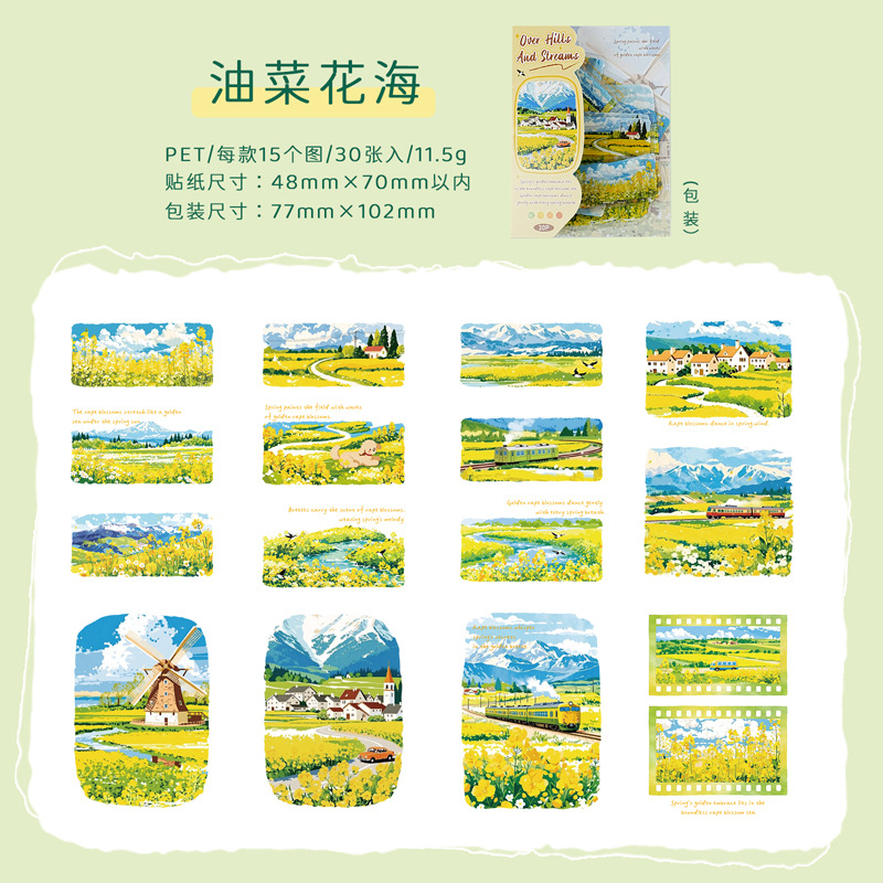 Rapeseed flower sea