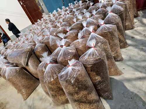 20 pounds of bulk mealworms, mealworms, special snacks for birds, turtles and hamsters, dried worms, bird food and pigeon food